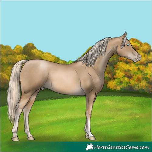 Horse Color:Chocolate Palomino Pearl Mushroom 