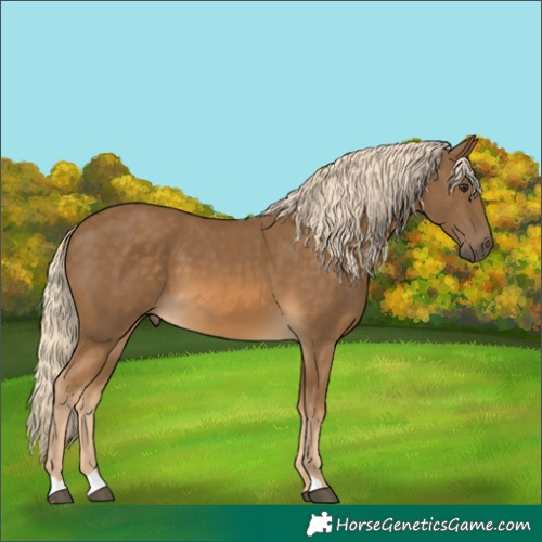 Horse Color:Chocolate Palomino