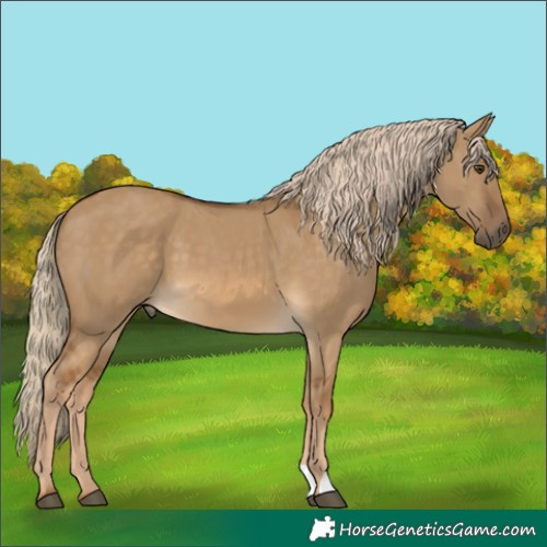 Horse Color:Chocolate Palomino Dun 