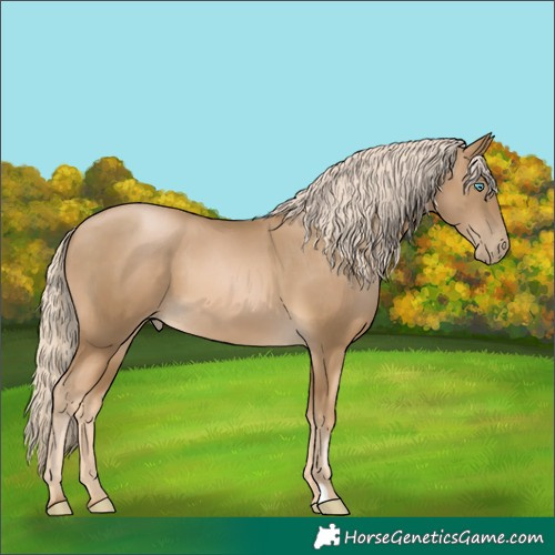 Horse Color:Chocolate Palomino Pearl Mushroom 