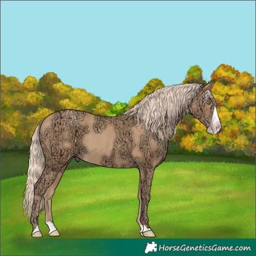 Horse Color:Gold Champagne Ice Splash 