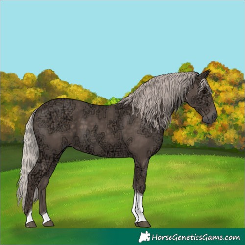 Horse Color:Silver Black Ice Tobiano Rabicano 