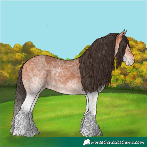 Horse Color:White Spotted Bay Ice
