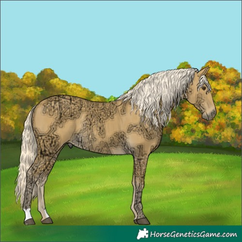 Horse Color:Palomino Ice Rabicano 