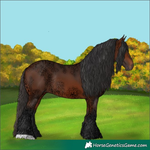 Horse Color:Bay Ice Rabicano 