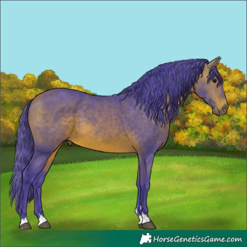 Horse Color:Watercolor Bay