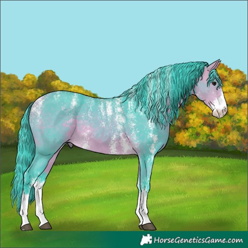 Horse Color:Powder White Watercolor Buckskin Sabino