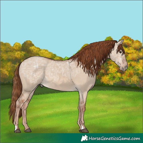 Horse Color:Red Dun Ice