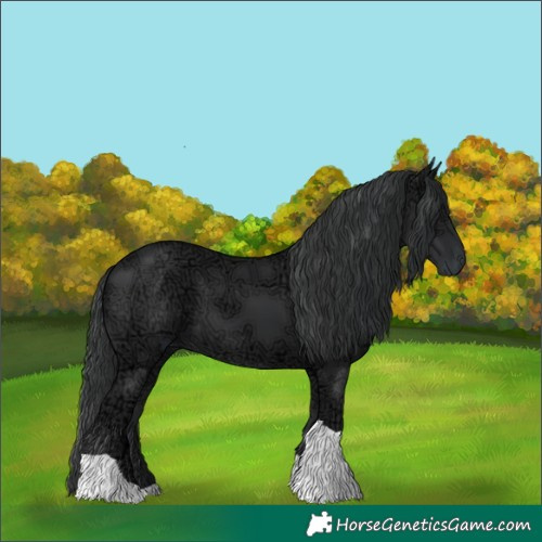 Horse Color:Black Ice Tobiano Rabicano