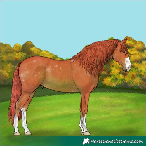 Horse Color:Watercolor Chestnut