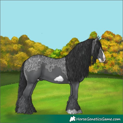 Horse Color:Black Ice Frame