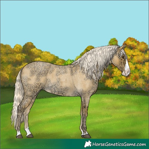Horse Color:Palomino Ice Roan Splash