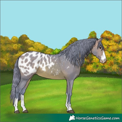 Horse Color:Watercolor Bay Near Leopard