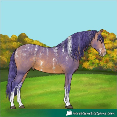 Horse Color:Powder White Watercolor Bay Sabino 