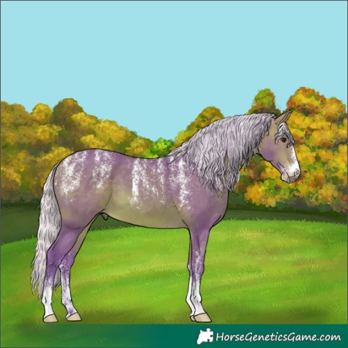 Horse Color:Powder White Watercolor Silver Bay