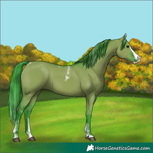 Horse Color:Powder White Watercolor Grullo Splash 