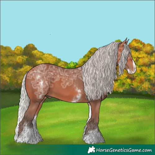 Horse Color:White Spotted Silver Bay Ice Splash Rabicano