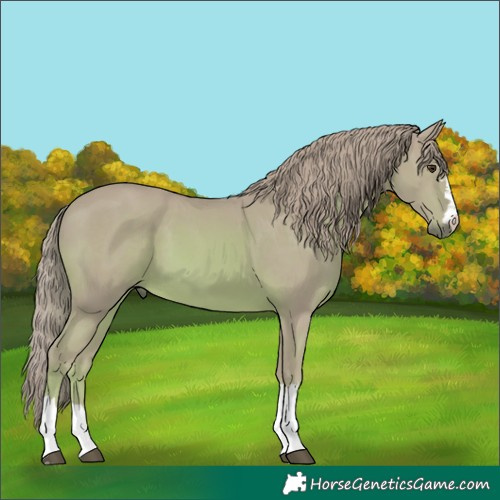 Horse Color:Watercolor Chestnut 