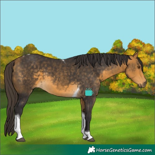 Horse Color:Buckskin Tobiano 