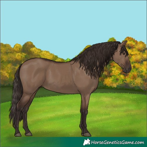 Horse Color:Liver Red Dun