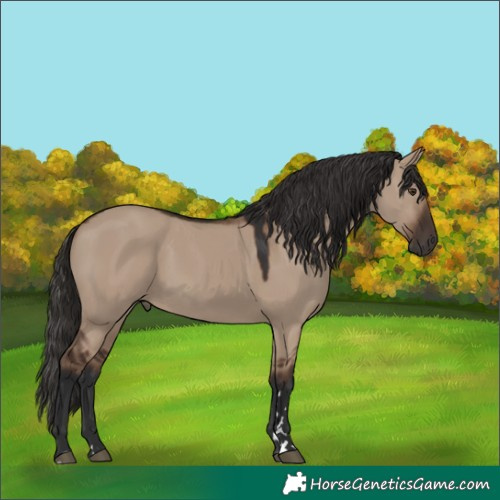 Horse Color:Liver Red Dun Rabicano