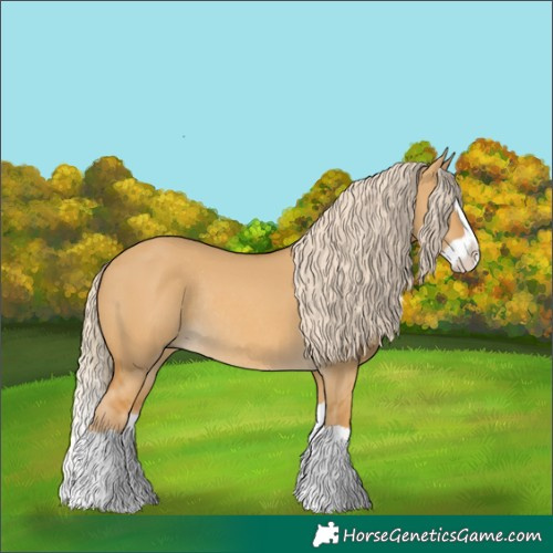 Horse Color:Palomino Dun Splash Rabicano 