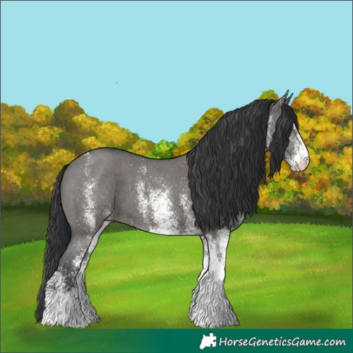 Horse Color:White Spotted Grullo