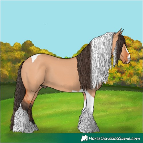 Horse Color:Bay Dun Tobiano