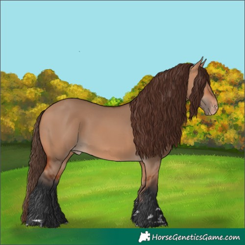 Horse Color:Bay Dun Skewed LP Spotted