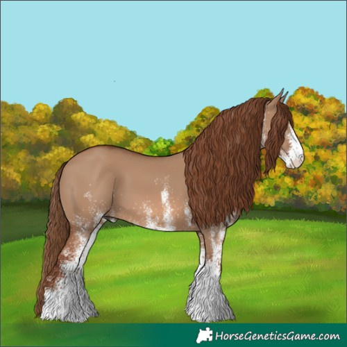 Horse Color:White Spotted Red Dun 