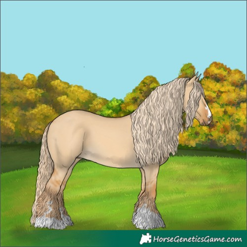Horse Color:Palomino Dun 