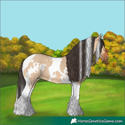 Horse Color:White Spotted Bay Dun Tobiano 