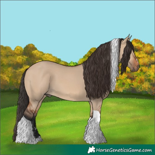Horse Color:Bay Dun Tobiano