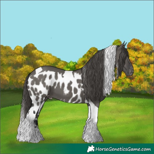 Horse Color:Grullo Tobiano Skewed LP Spotted