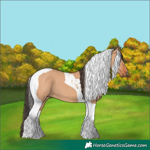 Horse Color:Bay Dun Tobiano 