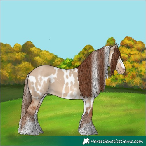 Horse Color:White Spotted Red Dun Skewed Appaloosa Rabicano