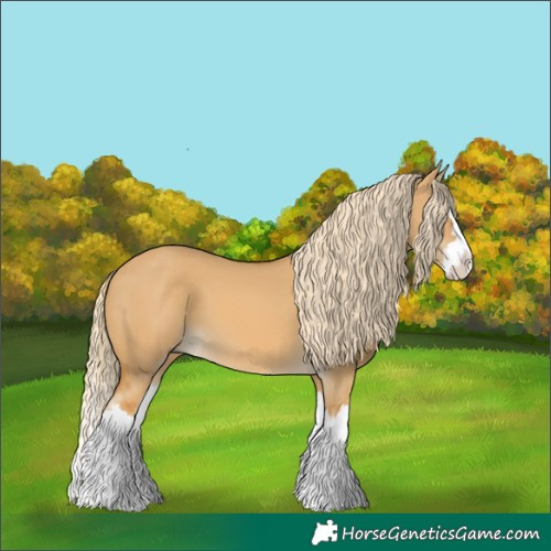 Horse Color:Palomino Dun Splash