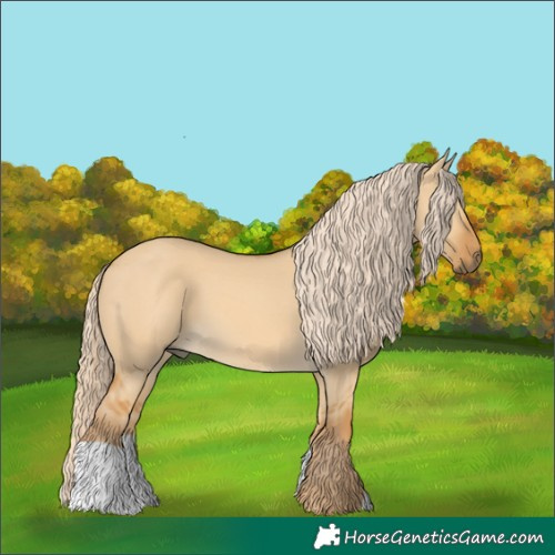 Horse Color:Palomino Dun