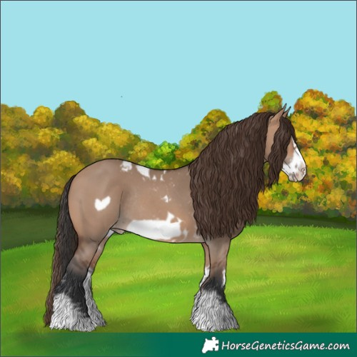 Horse Color:Bay Dun Sabino Frame Skewed LP Spotted Rabicano