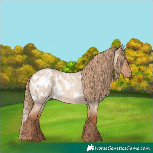 Horse Color:Red Dun Roan Skewed LP Spotted