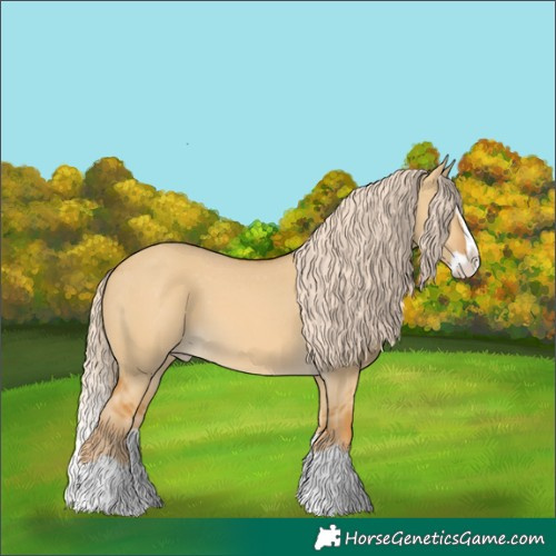 Horse Color:Palomino Dun Splash Skewed LP Spotted 