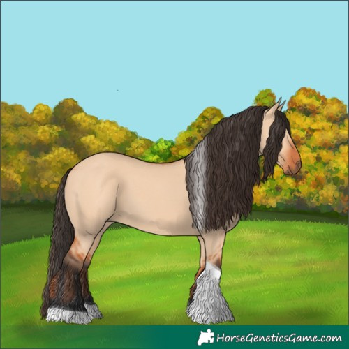 Horse Color:Bay Dun Tobiano 