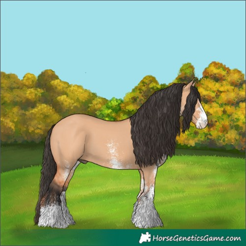 Horse Color:White Spotted Bay Dun