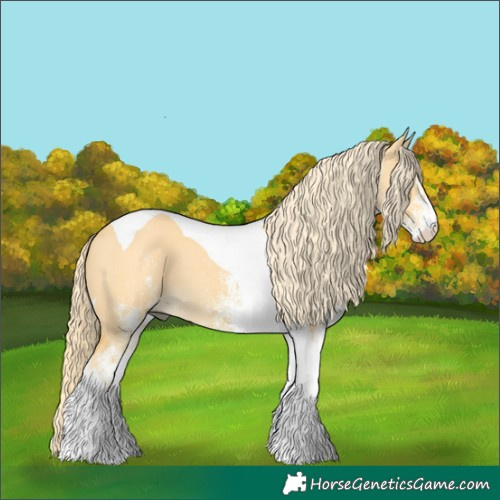 Horse Color:White Spotted Palomino Dun Tobiano