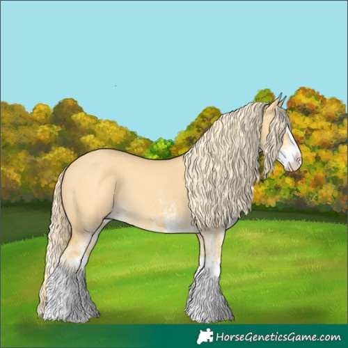 Horse Color:White Spotted Palomino Dun Splash 