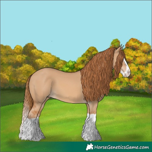 Horse Color:Red Dun Splash 