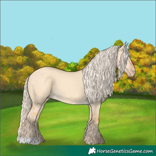Horse Color:Gold Cream Champagne Dun