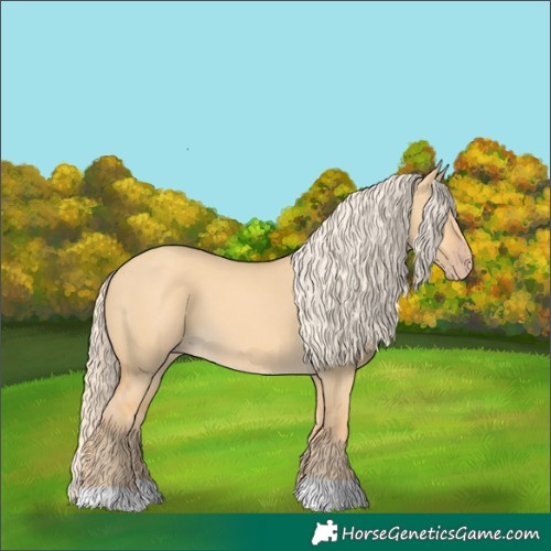 Horse Color:Gold Cream Champagne Dun