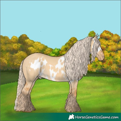 Horse Color:Palomino Dun Skewed LP Spotted