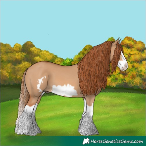 Horse Color:Red Dun Splash Frame 